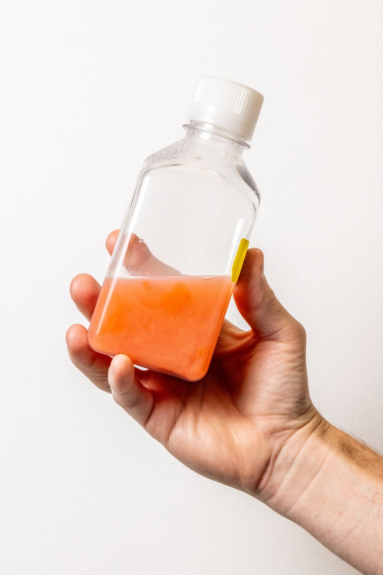 The pink color is a sign of healthy microbes. (Christie Hemm Klok/For The Washington Post)