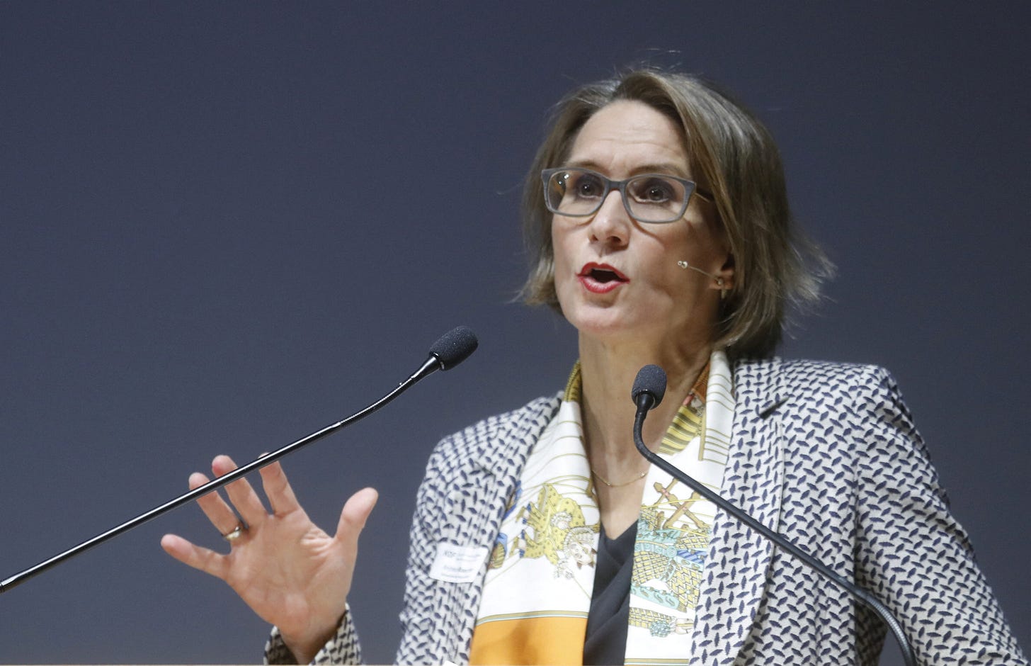 BIS 副總裁 Andrea Maechler BIS 副總裁 Andrea Maechler