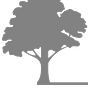 Agroforestry Partners's avatar