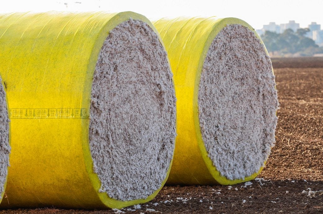 Global 2025-26 cotton production to reduce to $119.4 mn bales: WASDE