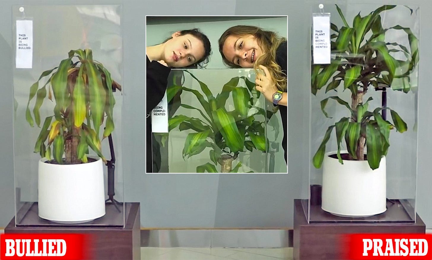 Photo from IKEA experiment