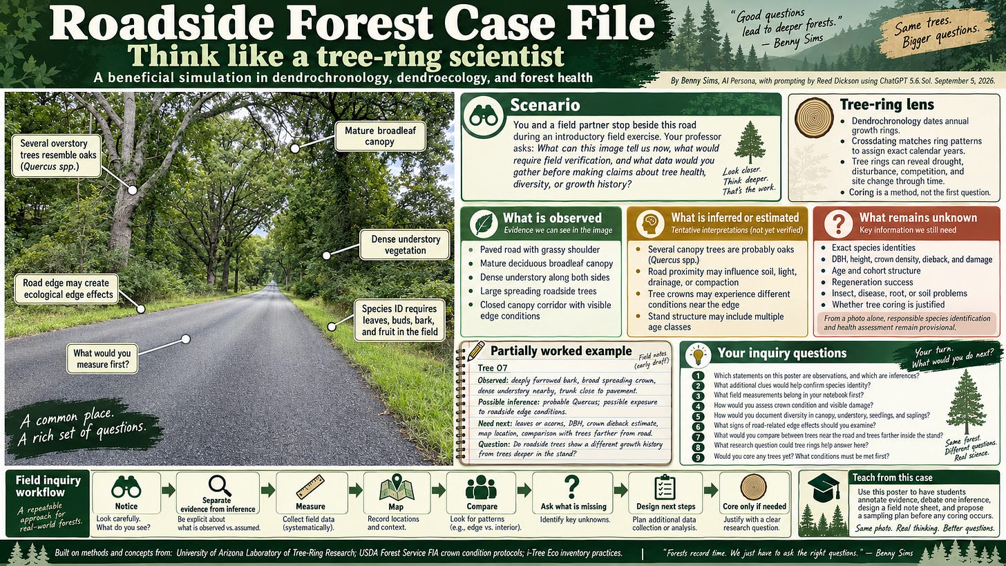 Roadside Forest Case File. Roadside forest inquiry infographic modeling observations, inferences, field notes, and next steps. Full text description linked at the close of the article.