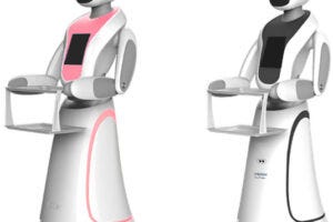 A female (left) and male (right) robot