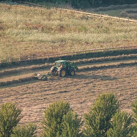 Ford government failed to disclose environmental and Greenbelt risks of Highway 413, says Auditor General
