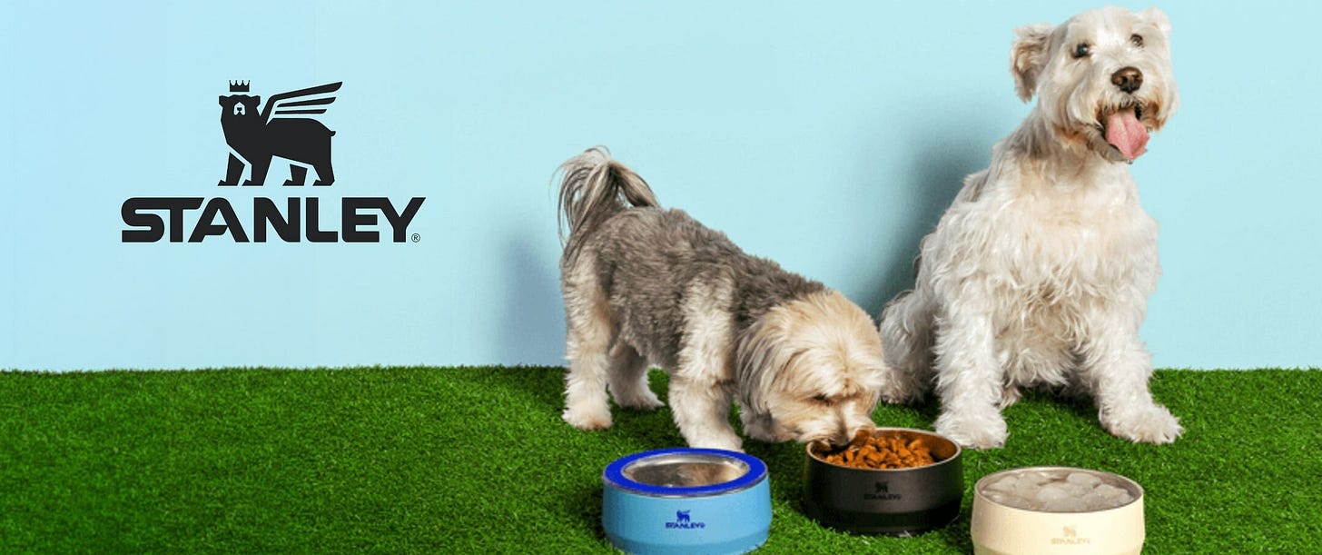 Novidade animal! Stanley lança comedouro e bebedouro térmico para pets -  conheça os detalhes