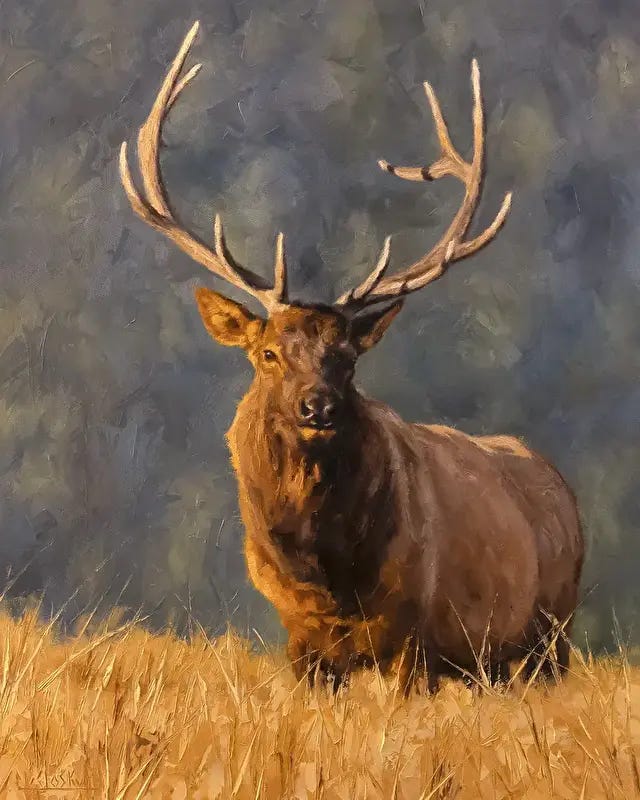 Image 6287896 Image 6287896