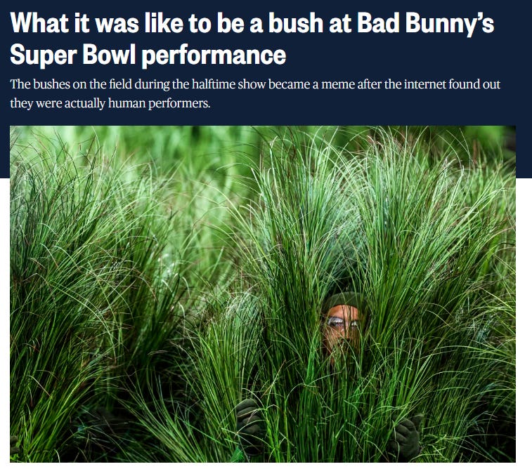 《Healthcare Payor 2025 年第四季度财报综述》