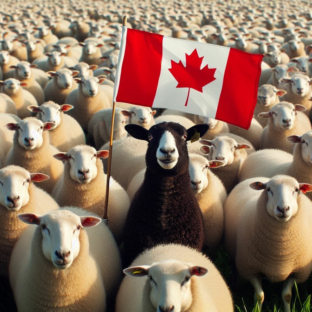 Canadian Mothers in Motion