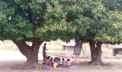 Voices from Africa