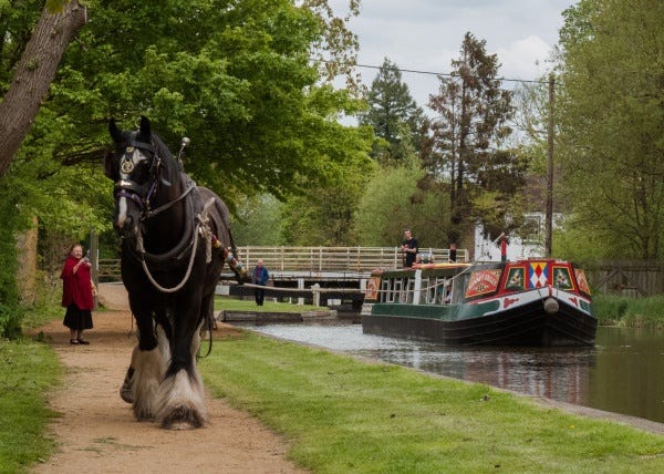 This may contain: a horse pulling a carriage down a path next to a river filled with people and boats This may contain: a horse pulling a carriage down a path next to a river filled with people and boats