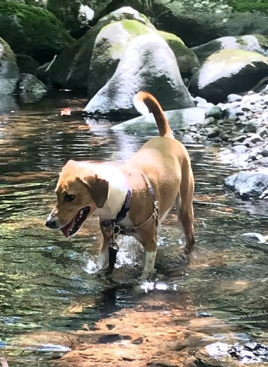 No photo description available. No photo description available.