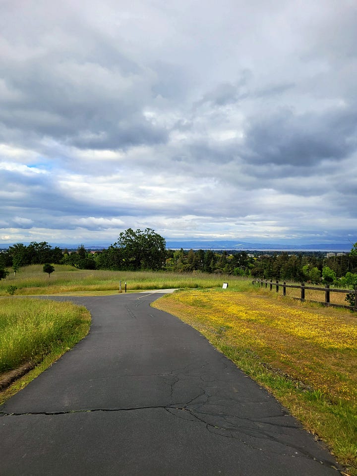 two images showing a path on a hill surrounded by grass. The first image has green grass and cloudy sky, while the second one has golden grass and clear blue sky.