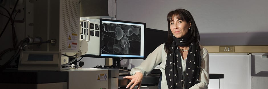 News - Prof Resia Pretorius wins national award