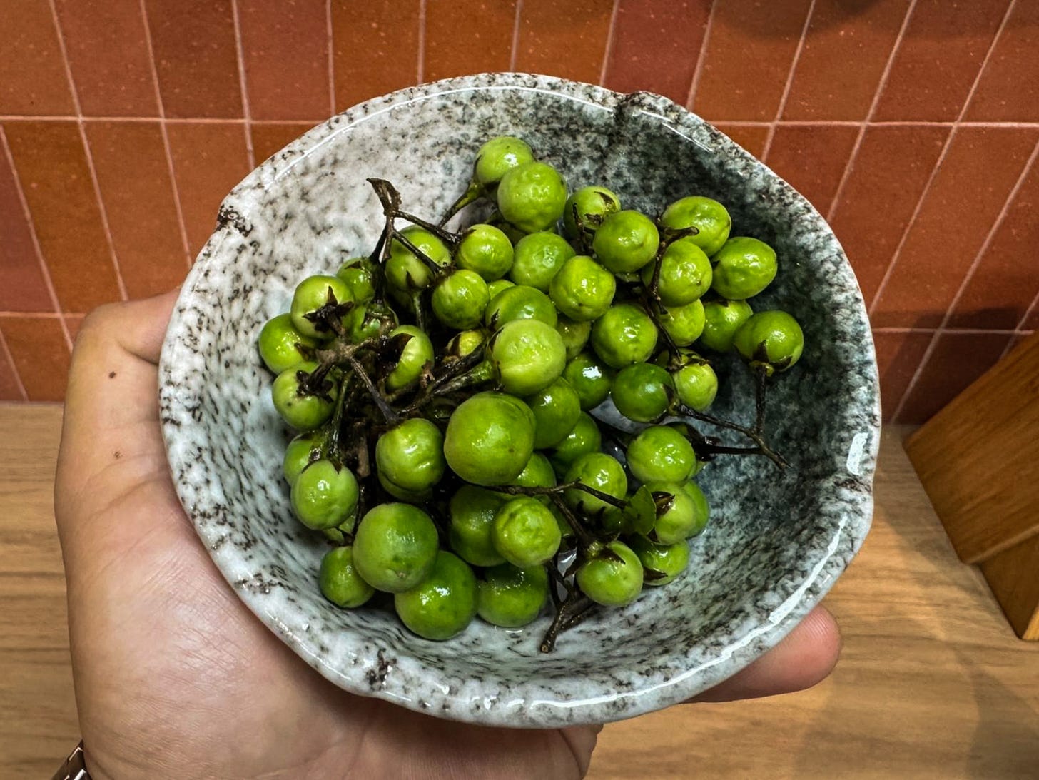 bowl of terung pipit