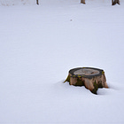 The Grief That Knows Your Name