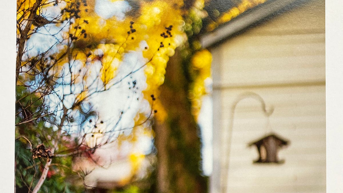 The magical world of Terri Weifenbach - by Susanne Helmert