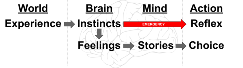Diagram illustrating how an experience flows through instincts to action.