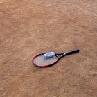 A Return to the Courts – I