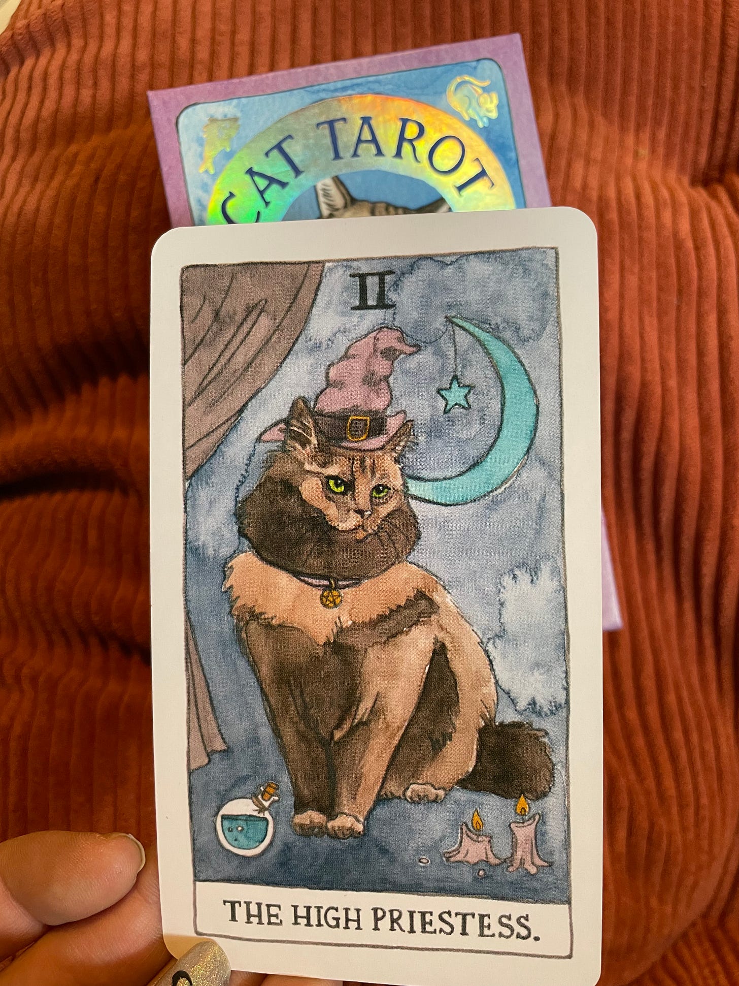 a cat wearing a witches hat is on a card that says the high priestess. it is a part of the cat tarot deck)