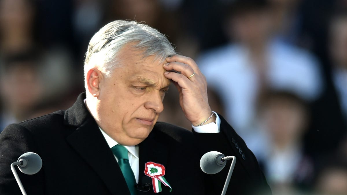 Orbán Will Lose Hungary’s Election in Two Weeks-If It’s Clean