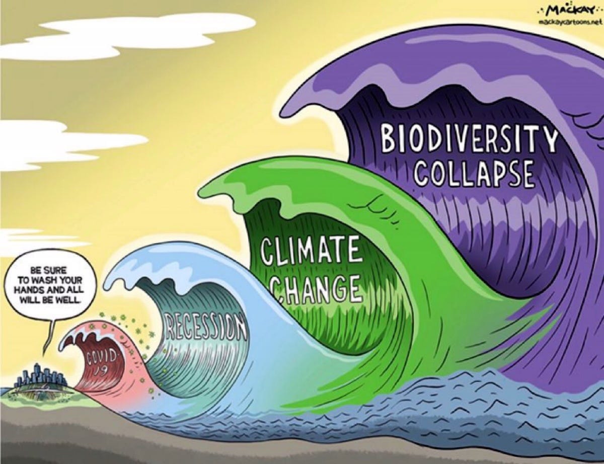 From Polycrisis to Permacrisis #EcologicalCrisis #ClimateCrisis # ...
