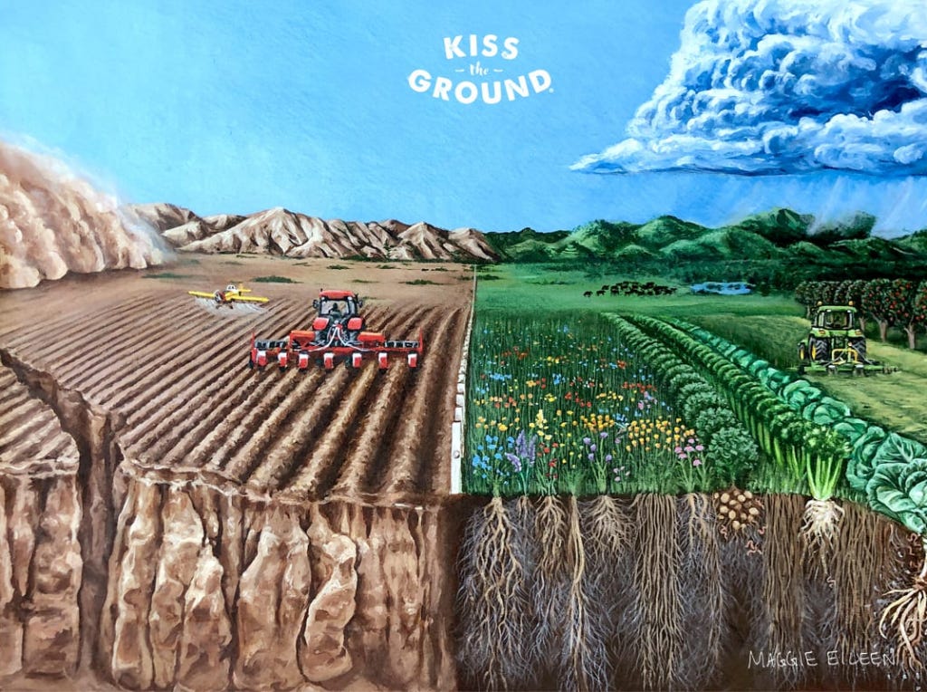 Qu'est-ce qu'une agriculture régénératrice