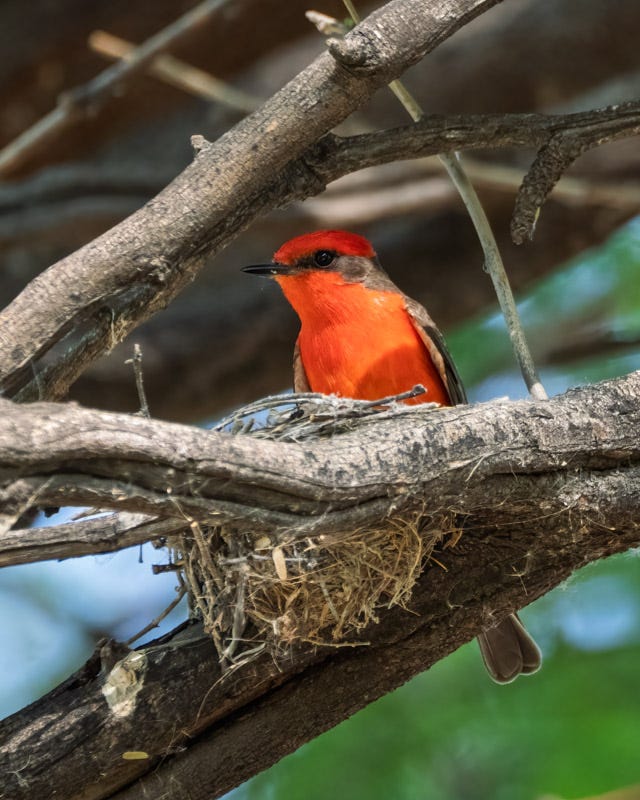 20260330-Sweetwater-77-Edit.jpg 20260330-Sweetwater-77-Edit.jpg