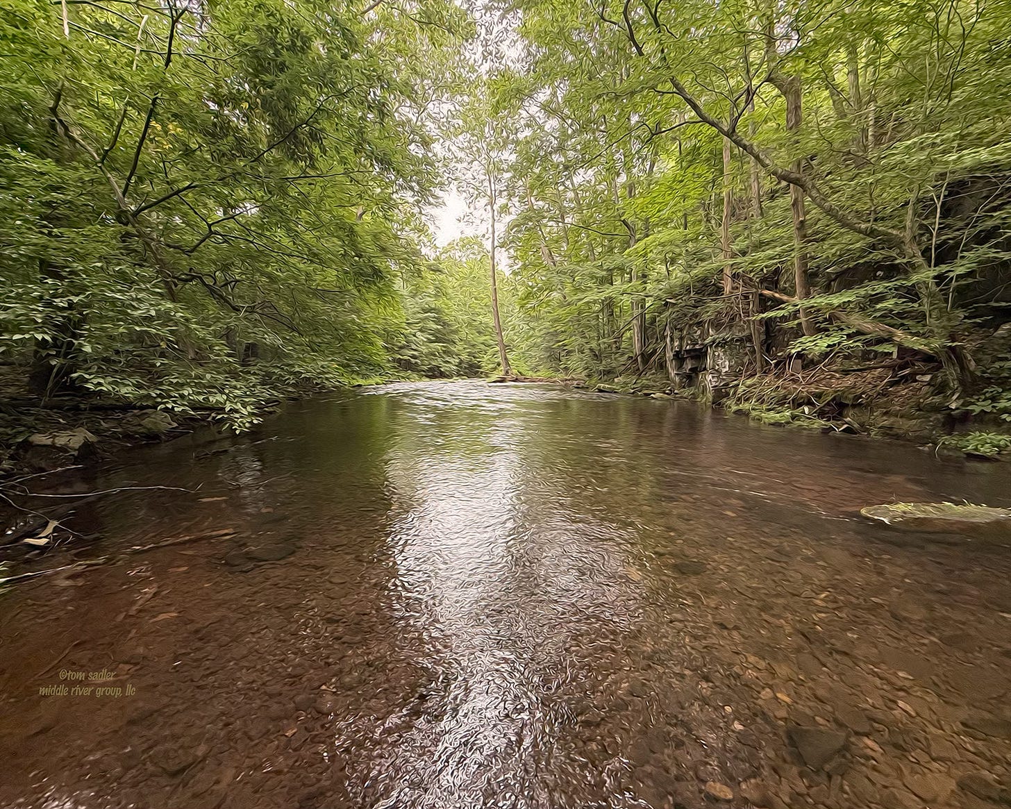 rendering of a large pool in a Virginia mountain stream