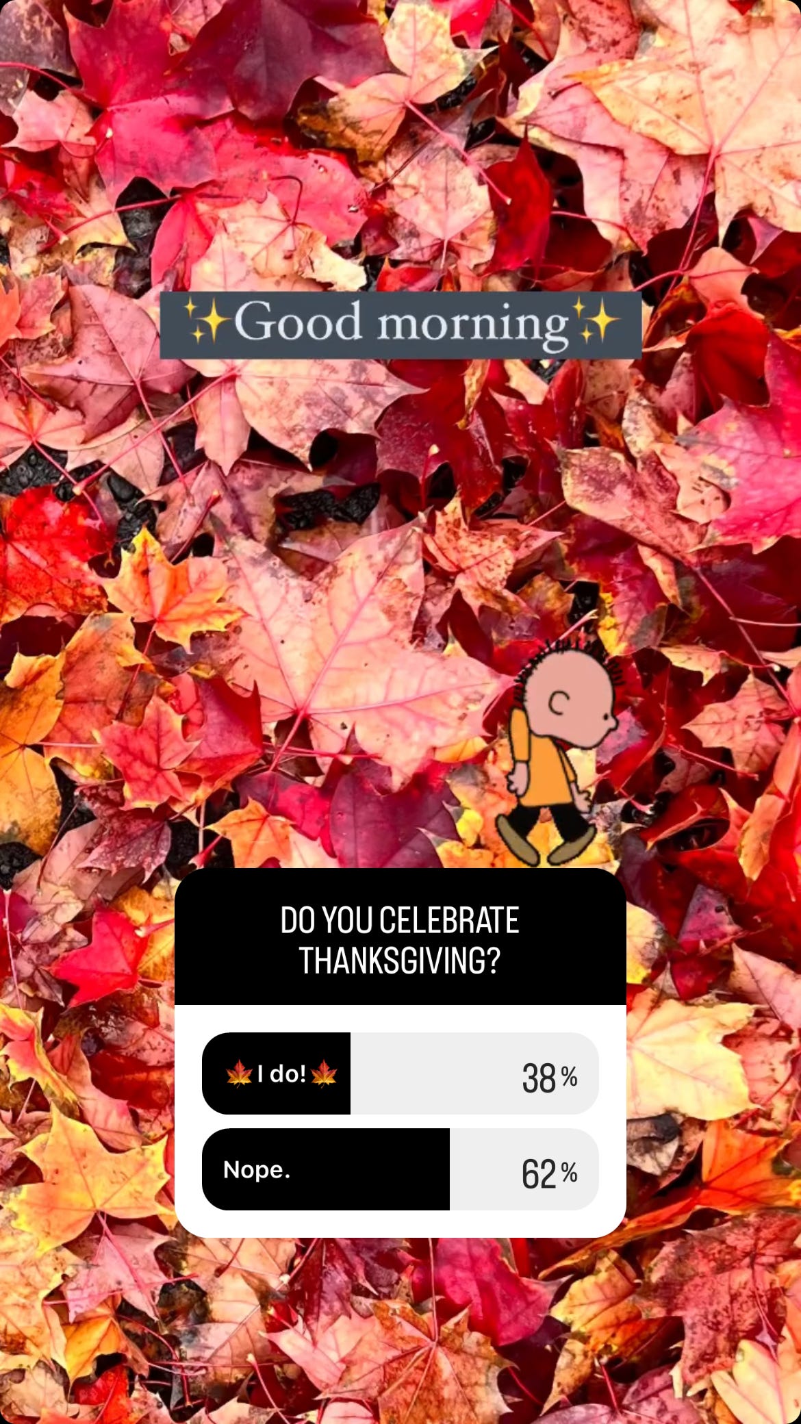 A screen grab of a poll posted by the Mexican IG account scarabajo_botanical.