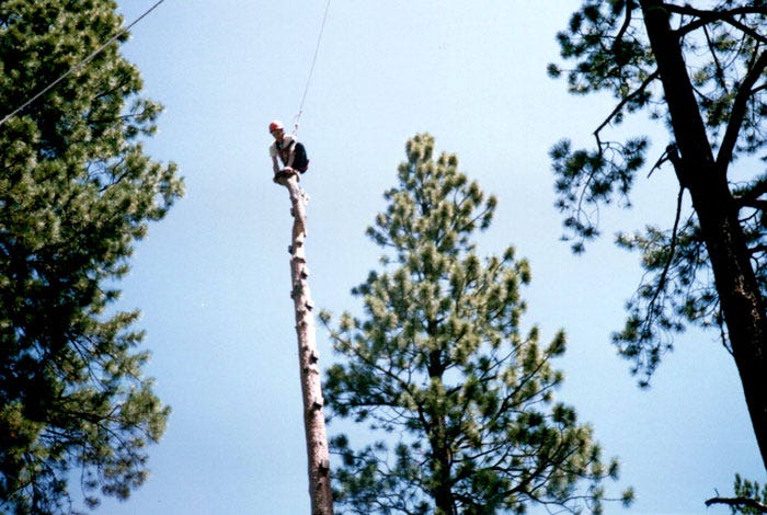 ww-ropes-pole-jump