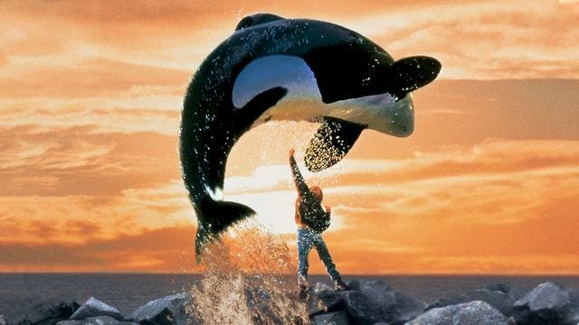 Free Willy Free Willy