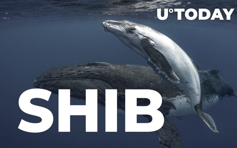 Shiba Inu Whales Lose More Than $150 Million in 24 Hours: Potential Reasons