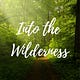 Into the Wilderness