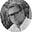 Hans Haringa's avatar