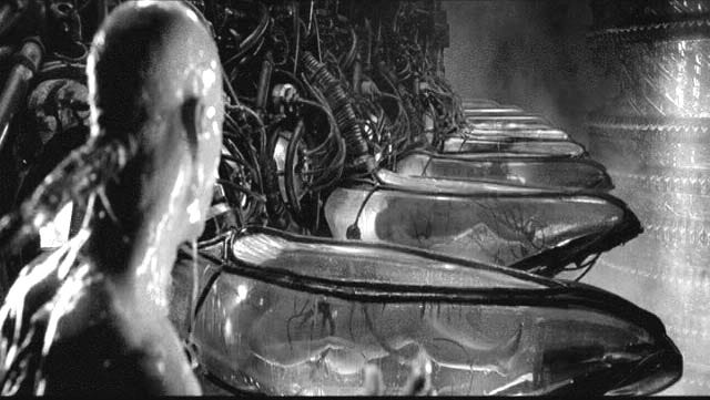 Rants Within the Undead God: Science and the Matrix Metaphor Rants Within the Undead God: Science and the Matrix Metaphor