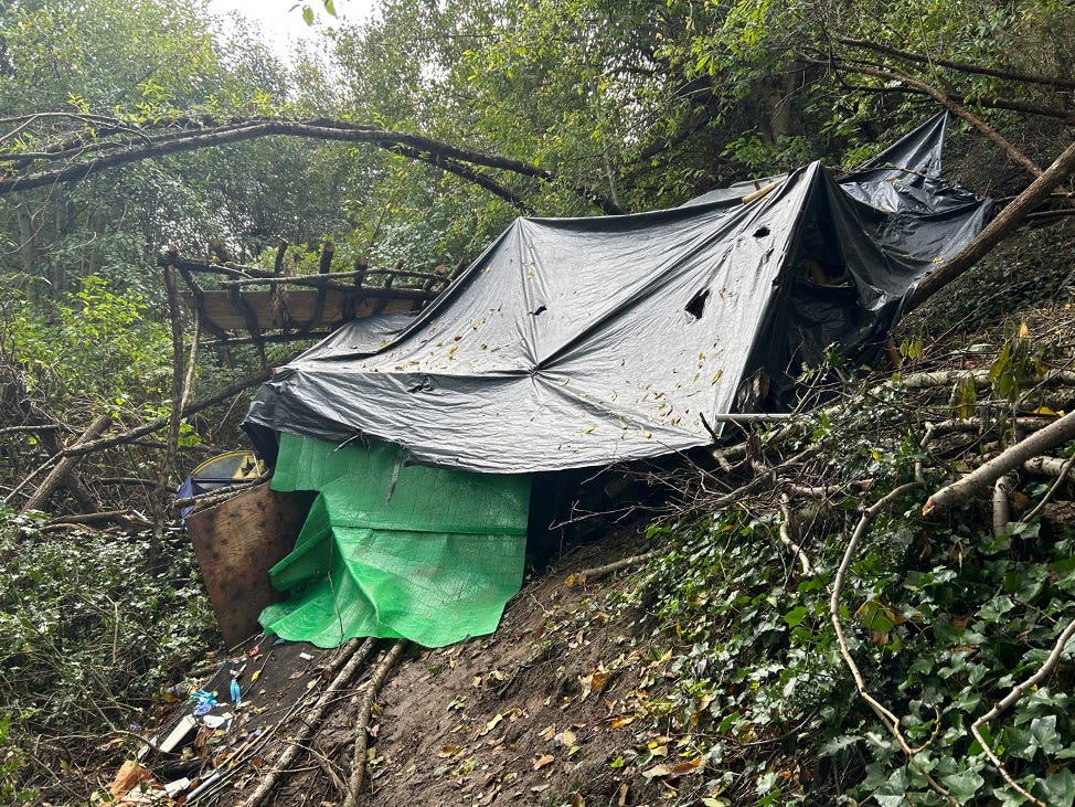 A tent in the woods

Description automatically generated