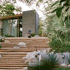 TWO BUNCH PALMS