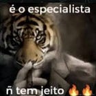 É o especialista, não tem jeito 🐯🤫