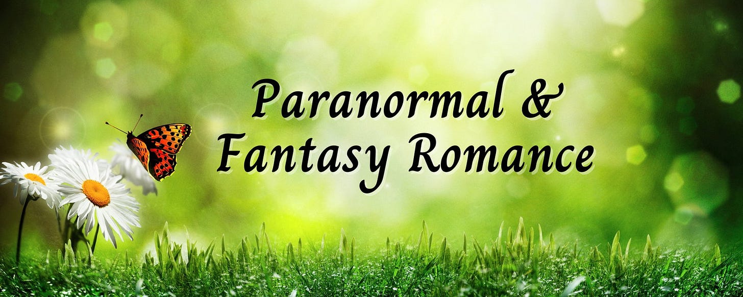 paranormal fantasy book fair banner