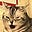 tigerrrr's avatar