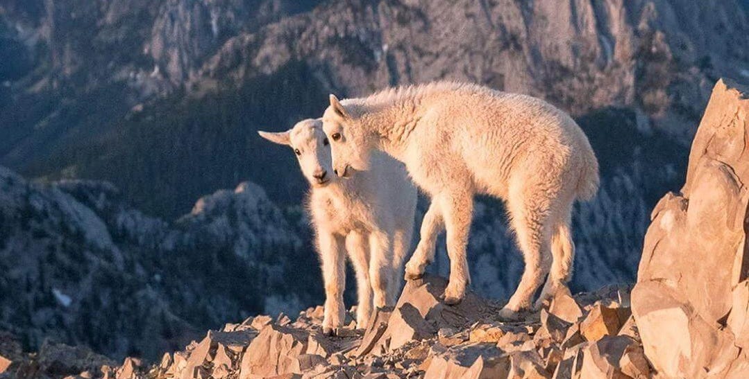 It's not the peaks that worry me. It's not the peaks that worry me.