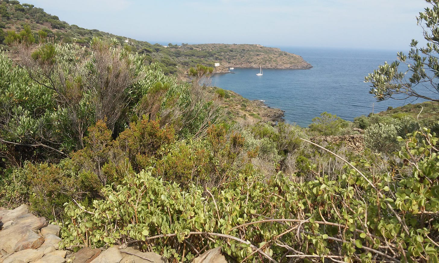 Cap de Creus rocky coastline