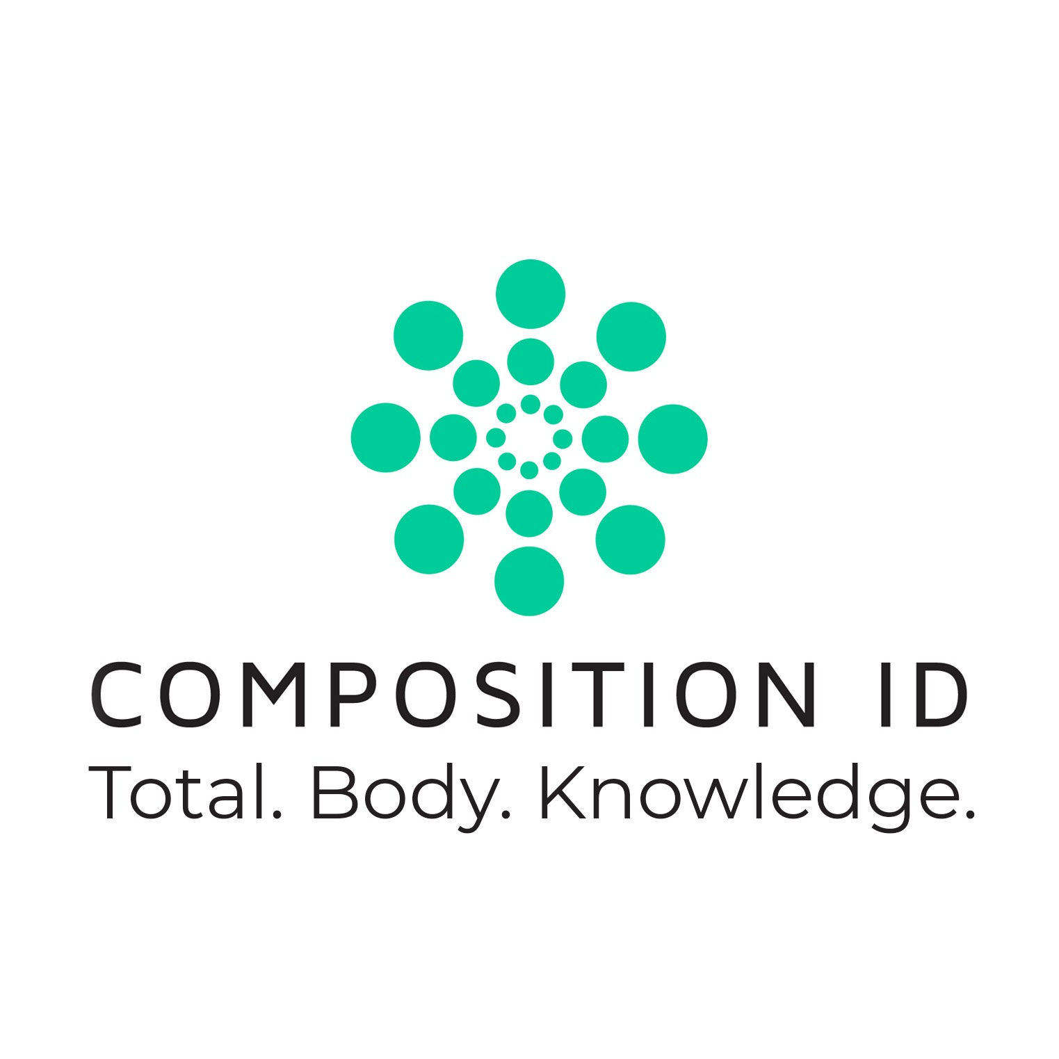 Composition ID/Rafi D. logo