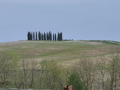 Photos from Pienza area and Val d'Orcia area