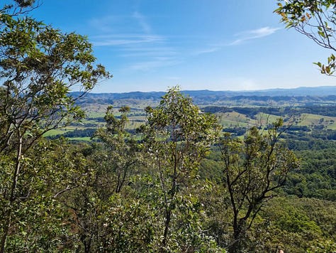 ridge, view, trees