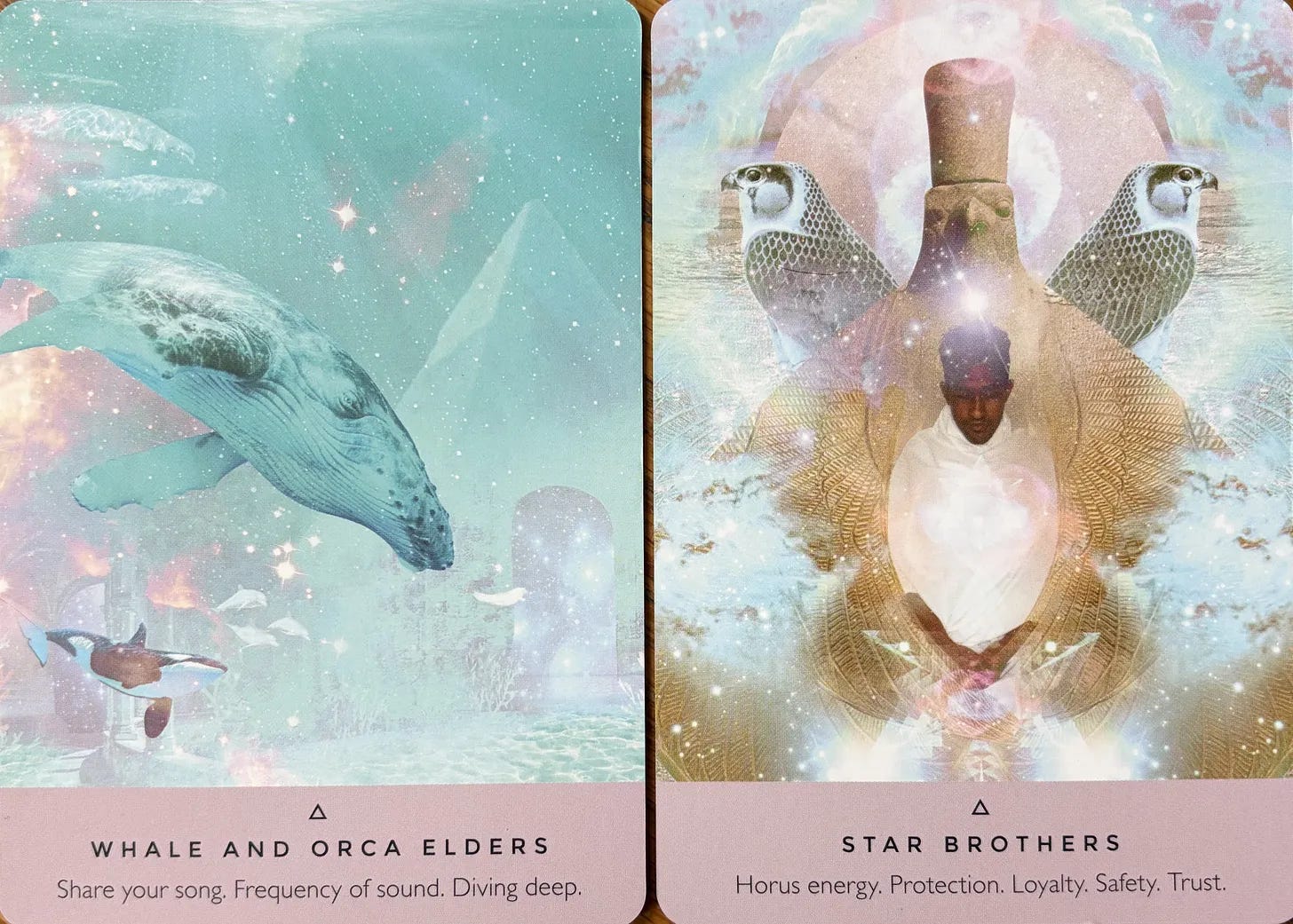 starseed Oracle deck whale and orca elders. Share your song frequency of sound diving deep Star Brothers HORUS energy protection, loyalty safety trust Rebecca Campbell, Danielle Noel. starseed Oracle deck whale and orca elders. Share your song frequency of sound diving deep Star Brothers HORUS energy protection, loyalty safety trust Rebecca Campbell, Danielle Noel.
