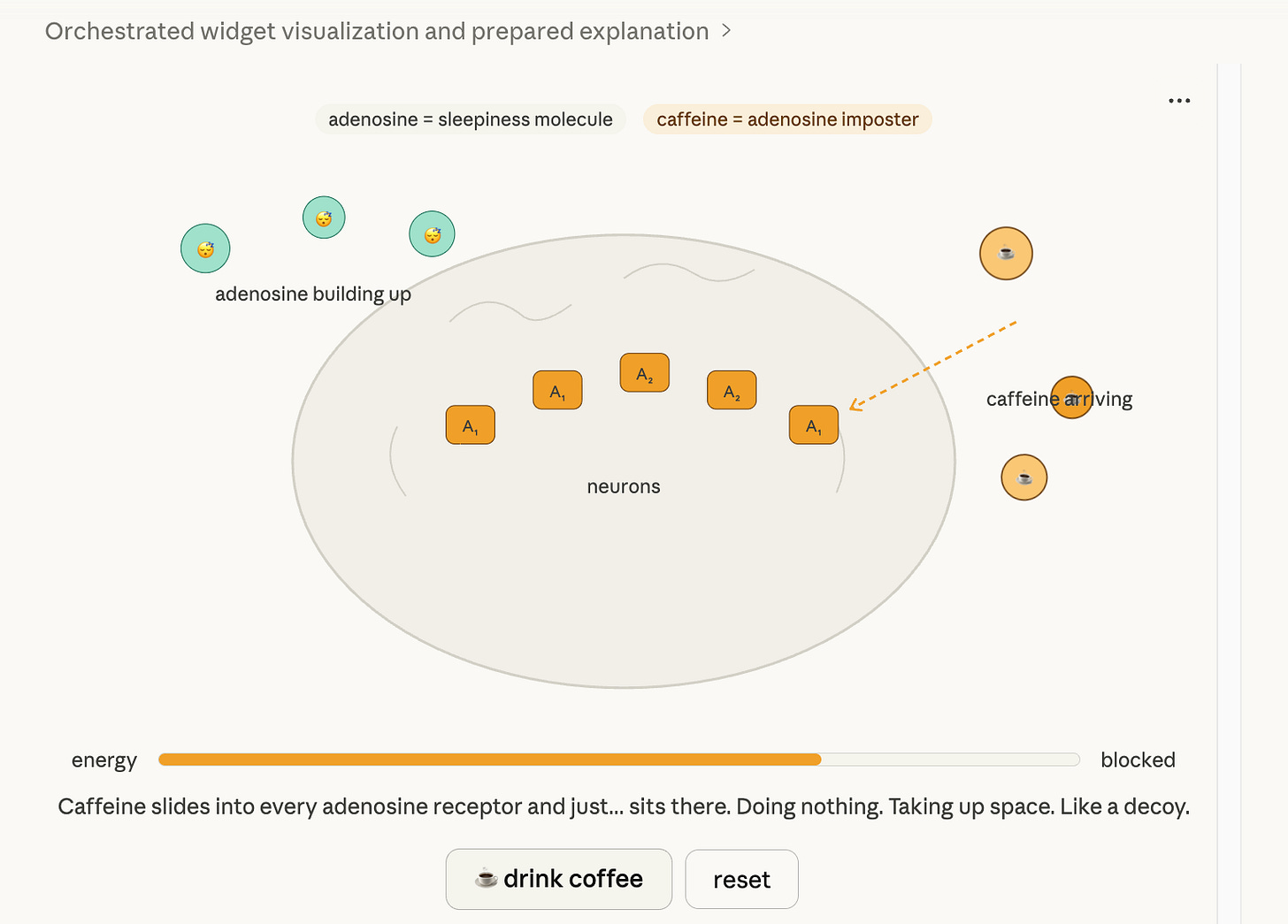 Interactive diagram showing how caffeine affects the brain. Adenosine molecules labeled as the “sleepiness molecule” build up around a neuron and normally bind to receptors, while caffeine labeled as an “adenosine imposter” moves toward the receptors and blocks them. An energy bar at the bottom shows increased alertness, with buttons labeled “drink coffee” and “reset” to trigger the simulation. Interactive diagram showing how caffeine affects the brain. Adenosine molecules labeled as the “sleepiness molecule” build up around a neuron and normally bind to receptors, while caffeine labeled as an “adenosine imposter” moves toward the receptors and blocks them. An energy bar at the bottom shows increased alertness, with buttons labeled “drink coffee” and “reset” to trigger the simulation.