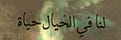 فارس
