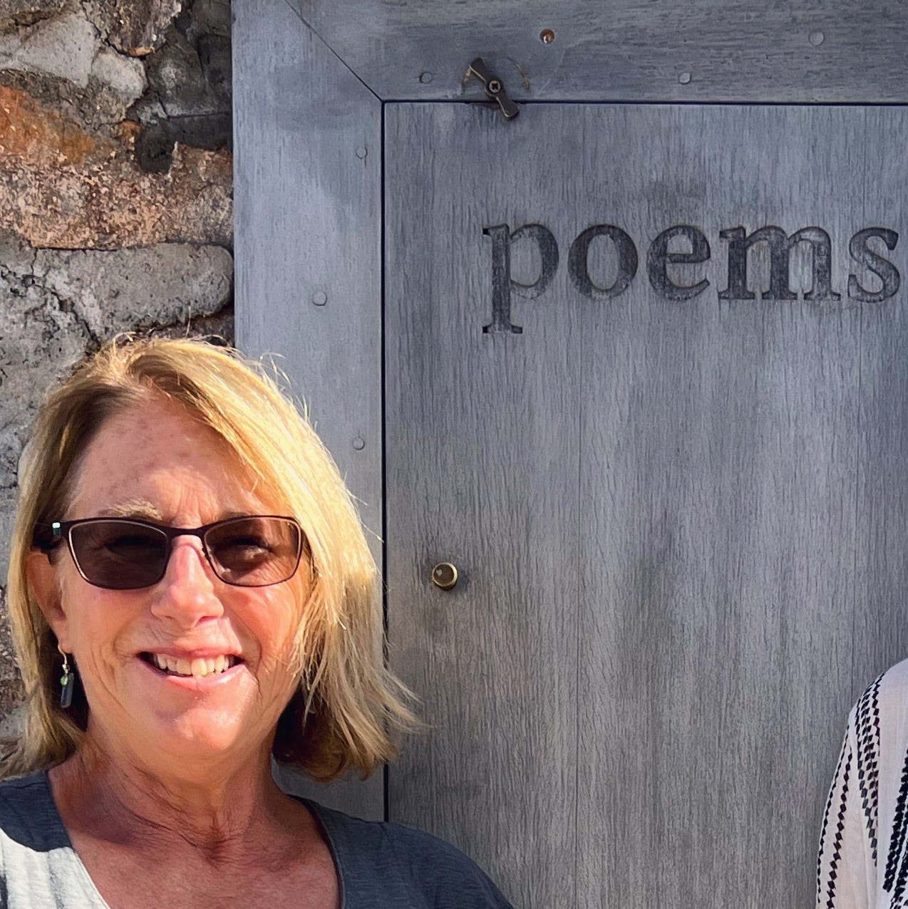 The Wandering Writer