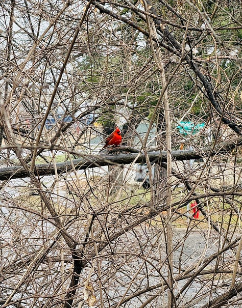 boring day to day photos